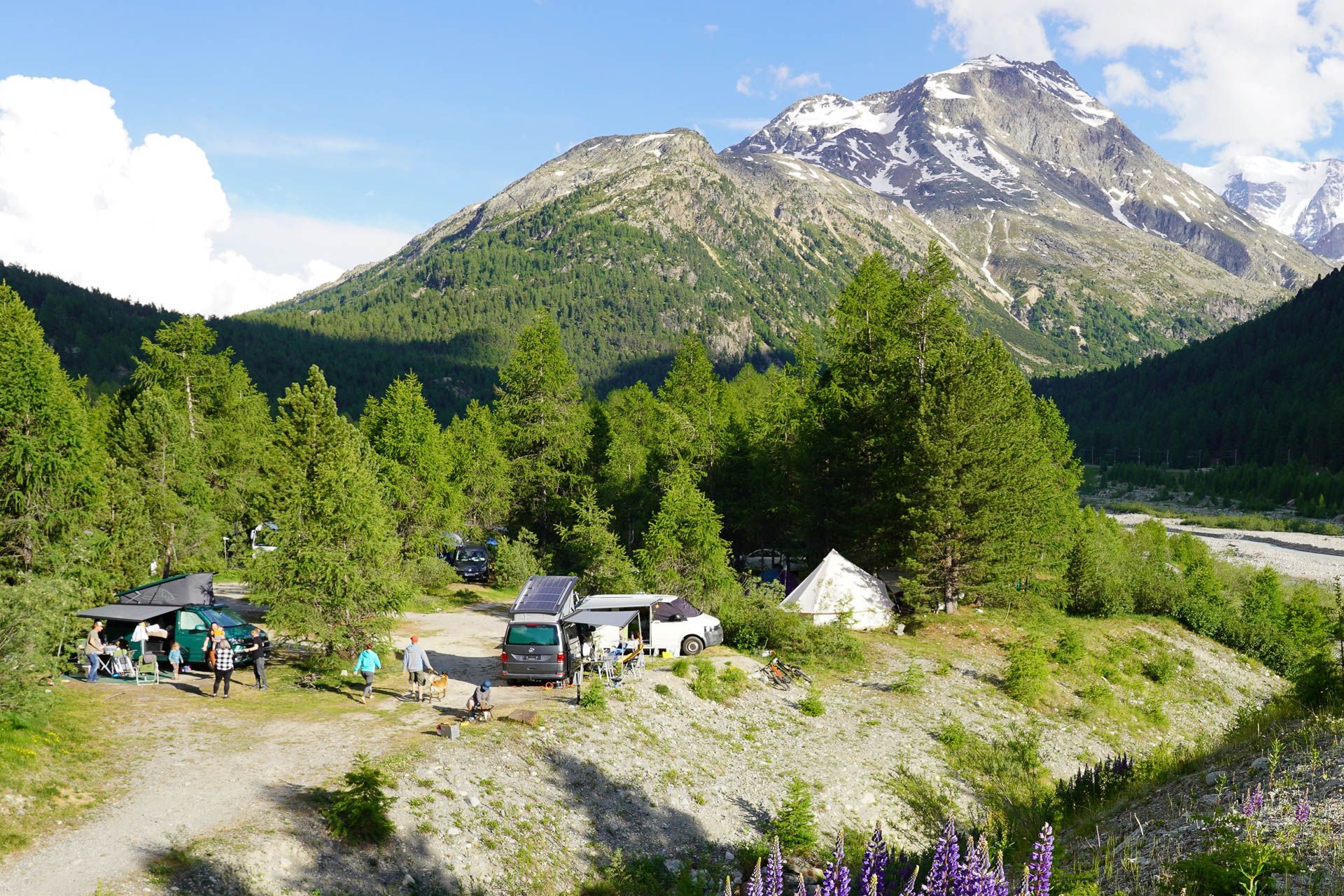 VW-Busse und Zelte an bester Camping-Lage vor den Bündner Alpen